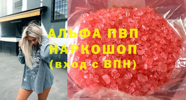 молекула духа Бородино