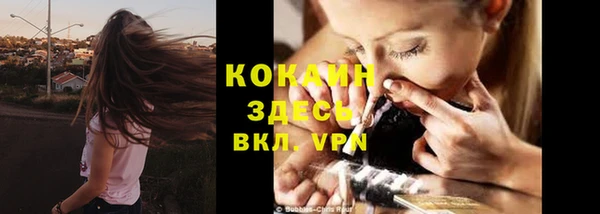 шишки Бугульма