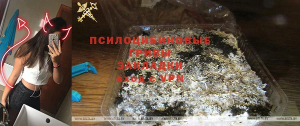 шишки Бугульма