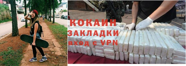 молекула духа Бородино