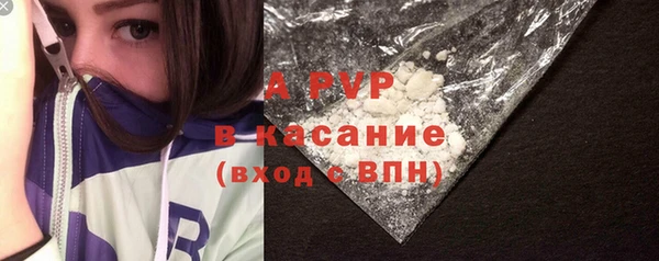 молекула духа Бородино