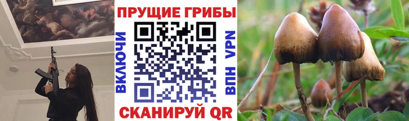 продажа наркотиков  Мончегорск  Псилоцибиновые грибы прущие грибы 