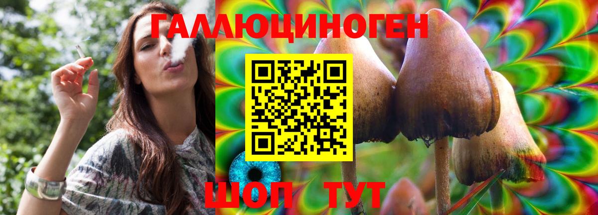 Мончегорск  Псилоцибиновые грибы мухоморы  цена наркотик  Вход с VPN 