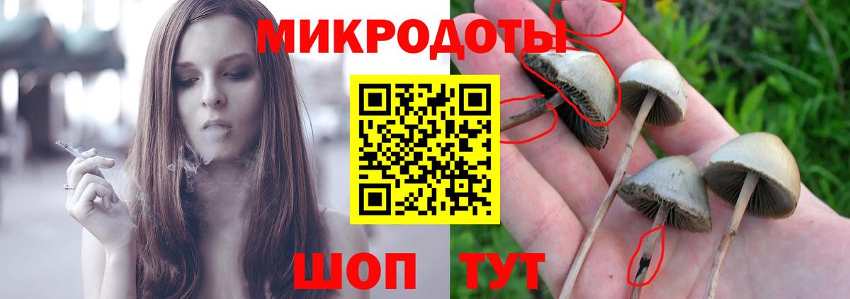 Галлюциногенные грибы мицелий Мончегорск